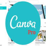 Canva Pro 1 năm